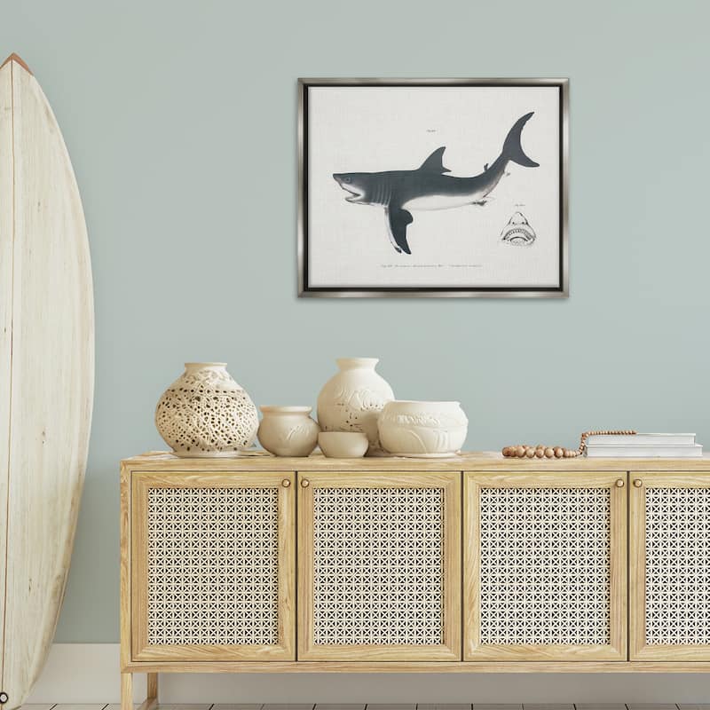 Stupell Detailed Shark Diagram Framed Floater Canvas Wall Art Design By Phillipa Katz