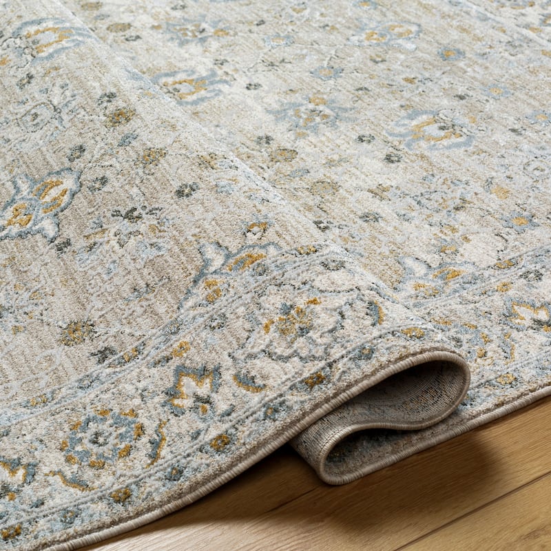 Livabliss Dresden Transitional Area Rug