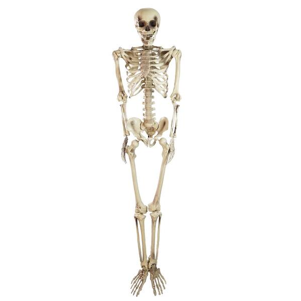 Shop 5 Spooky Life Size Skeleton Indoor Outdoor Halloween