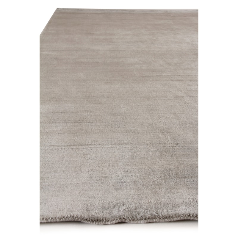 EXQUISITE RUGS Sanctuary Hand-loomed Bamboo Silk/Wool Light Green Area Rug.