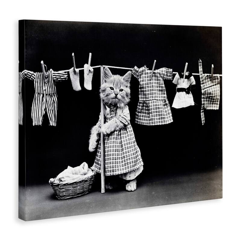 Stupell Kitten Does The Laundry Stretched Canvas Wall Art