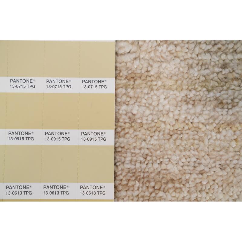 Hand Knotted Oriental Viscose Silk Carpet Tribal Animal Pictorial Beige & Ivories Gabbeh Area Rug - 11' 9'' X 8' 10''