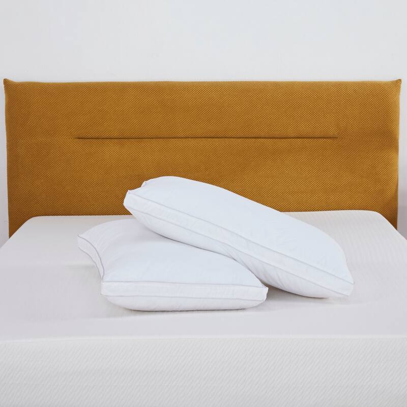 Artdeco Home White Queen Size Pillows (Set of 2)
