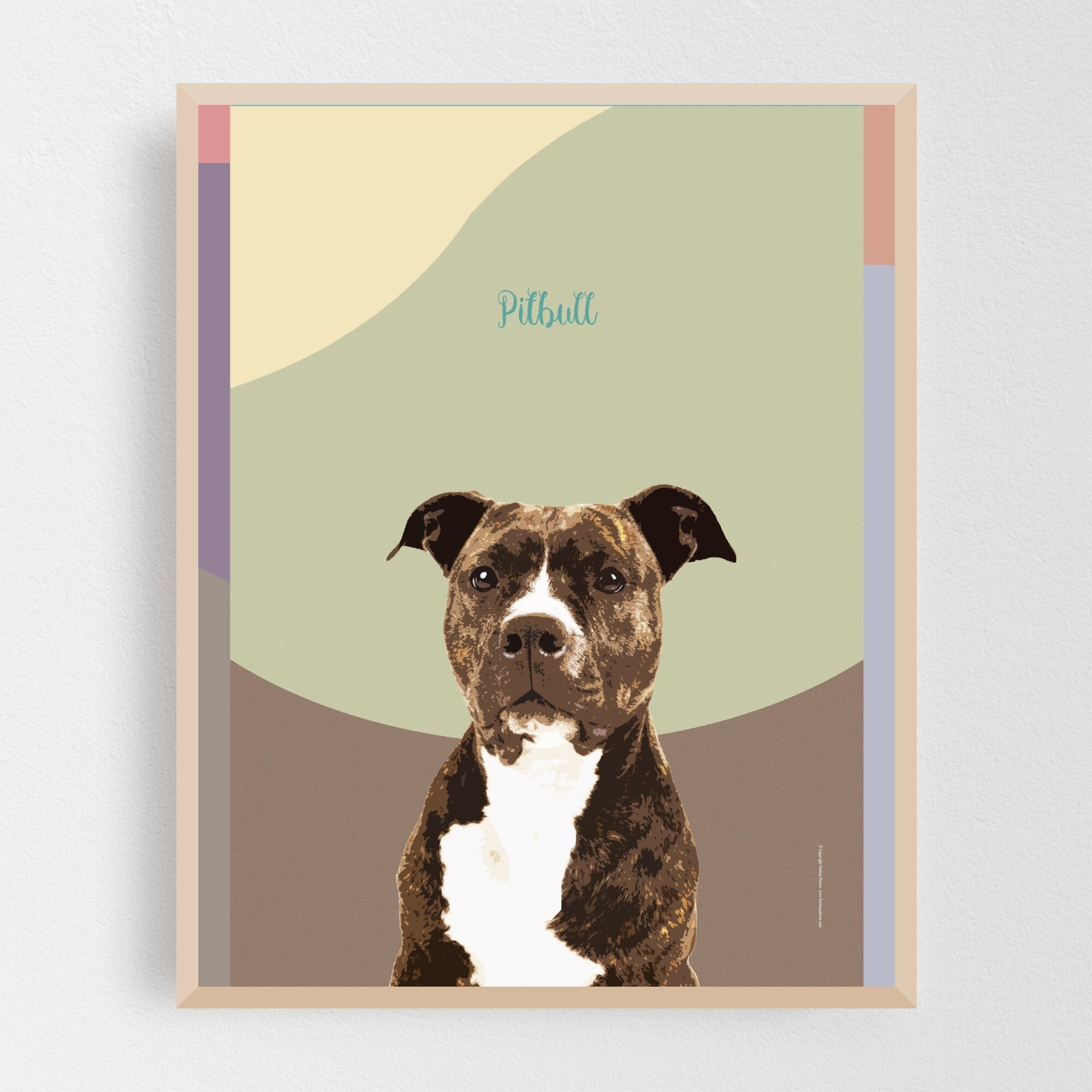 Shop Animals Bull Terrier Dog Pit Bull Framed Wall Art Print Overstock 31463494