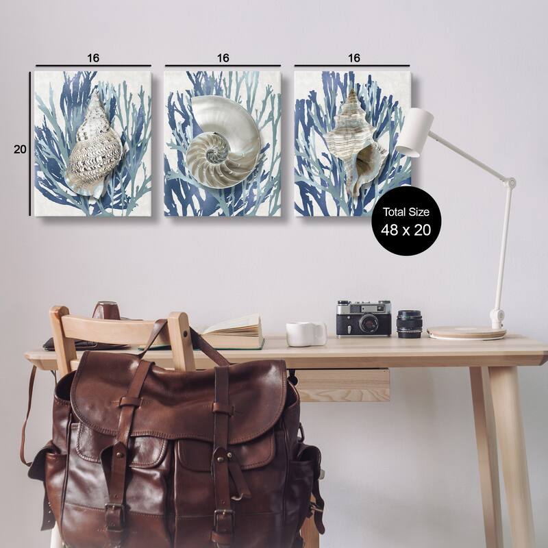Stupell Trio of Shell Coral Blue Beach Design, 3pc Multi Piece Canvas Wall Art Set
