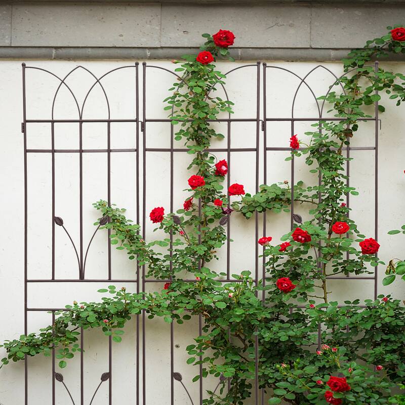 Anmytek 2 Pack Metal Garden Trellis 71" x 17.7" Rustproof Trellis for Climbing Plants Outdoor Flower Support Brown