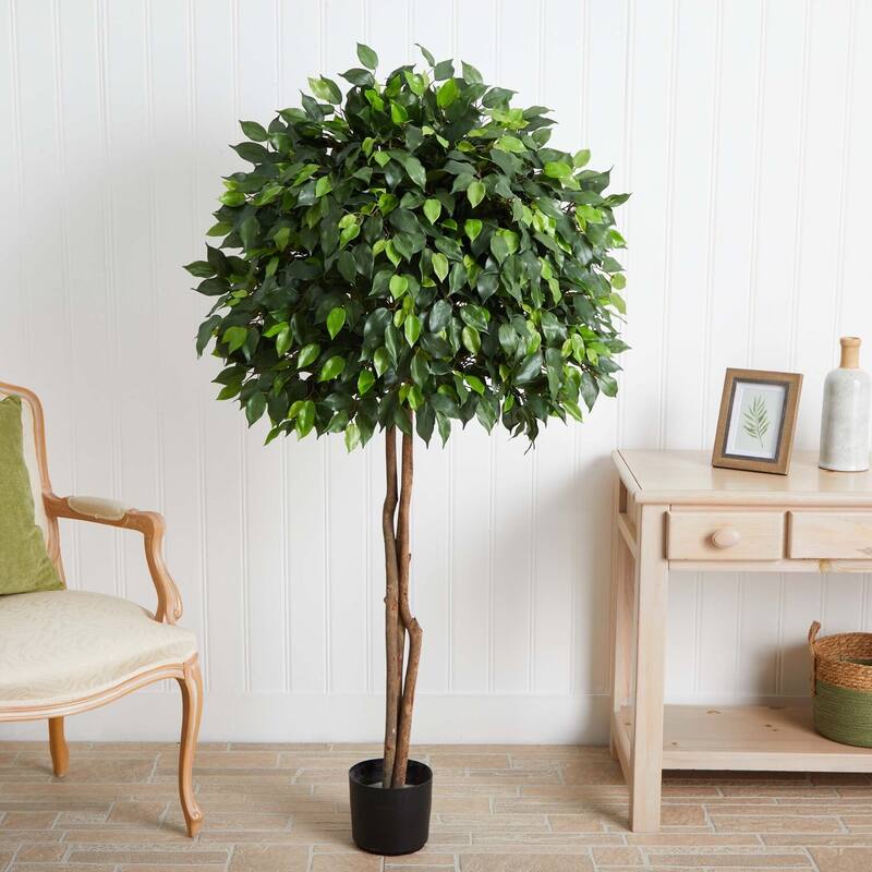 Artificial Indoor Tree - 5.5 Ft Seaside Style Accent Tree with Green Leaves, Home Office Decor - 5.5ft.