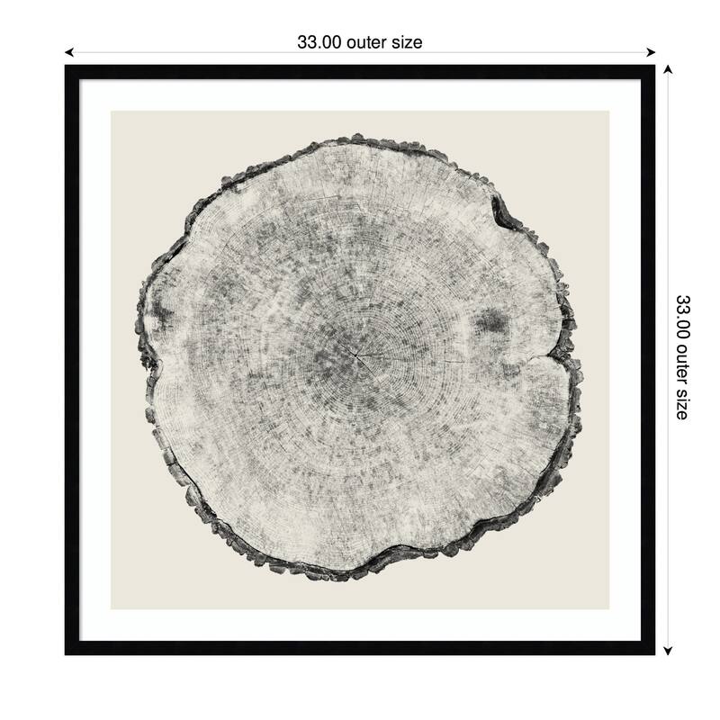 Kate and Laurel Tree Rings No. 1 by Emiko and Mark Franzen F2 Images Framed Wall Art Print