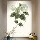 preview thumbnail 6 of 8, Sage Botanical I -Premium Gallery Wrapped Canvas