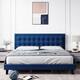 Option Blue