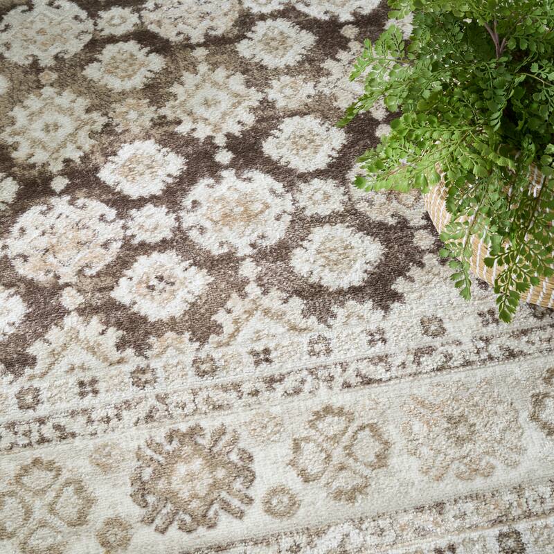 Nourison Dekor Indoor only Persian Area Rug