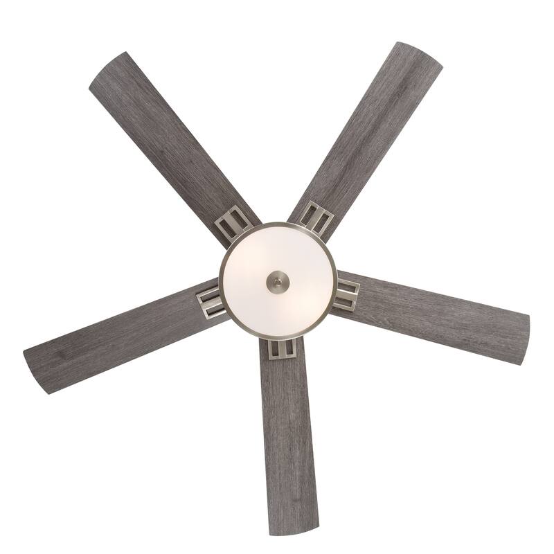 52" Reversible 5-Blade Caged Ceiling Fan with Light and Remote