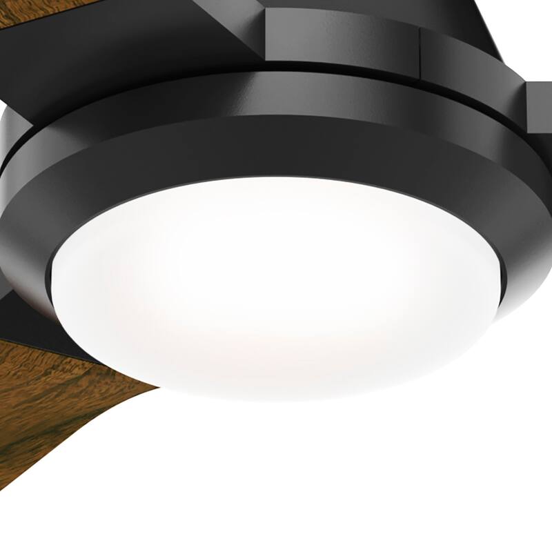 Hunter 54" Leti Ceiling Fan with LED Light and Wall Control - Noble Bronze