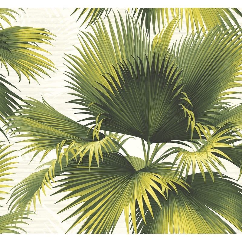 Kenneth James Endless Summer Green Palm Wallpaper - 27in x 324in x 0.025in
