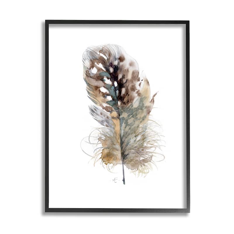 Stupell Speckled Bird Feather Study Brown Animal Watercolor Framed Wall Art