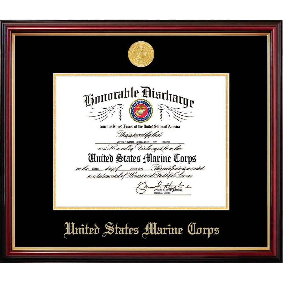 Patriot Frames Marine 8.5x11 Discharge Petite Frame with Gold Medallion