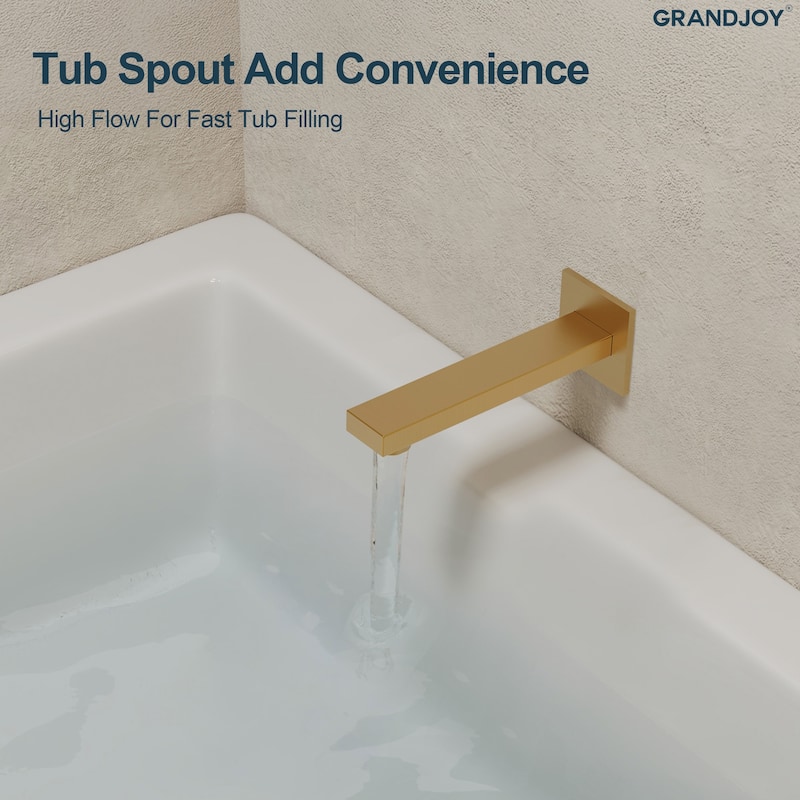 GRANDJOY 2-Function Tub and Shower Faucet Set with Single Handle Valve, Wall-Mount Design