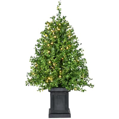 Fraser Hill Farm 2-Ft. Boxwood Porch Tree in Black Pot with Warm White Lights