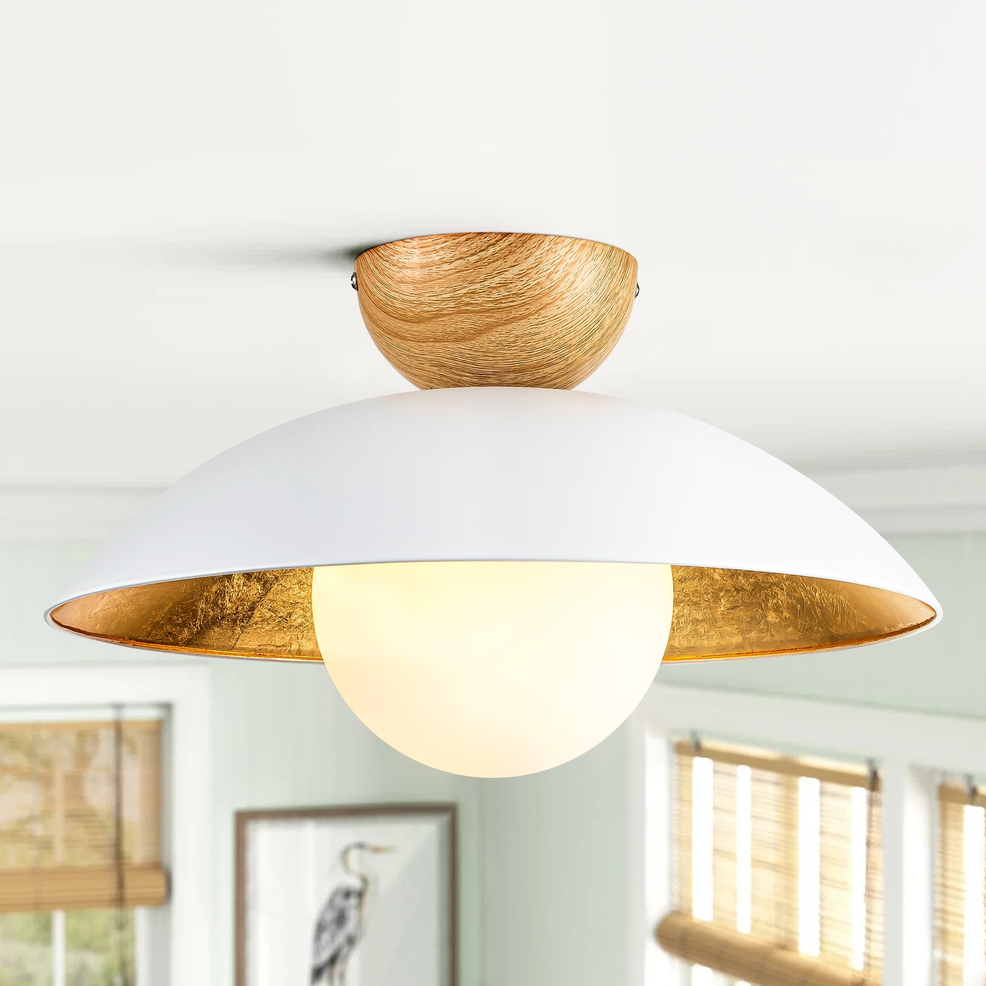 Dome ceiling light fixture discount