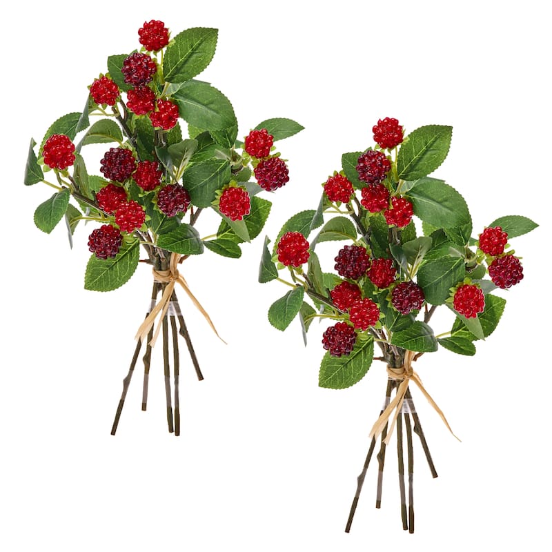 11" Wild Raspberry Bundle Set of 2