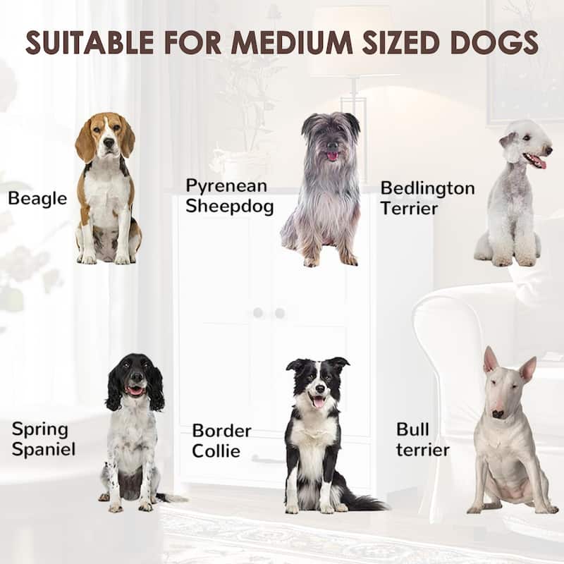 Dog Feeding Station, Dog Food Storage Cabinet with Hidden Dog Bowls, Adjustable Panel, Hooks, for Medium Sized Dogs