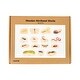preview thumbnail 3 of 6, TickiT Wooden Minibeast Blocks - Set of 15 - Natural