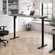 Option Modern Hickory