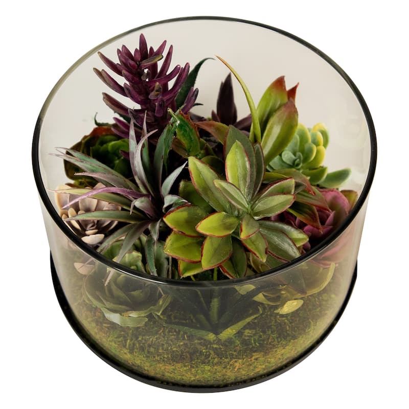 Mixed Succulent Artificial Arrangement in Round Glass Jar - 8" - 5-footx8-foot