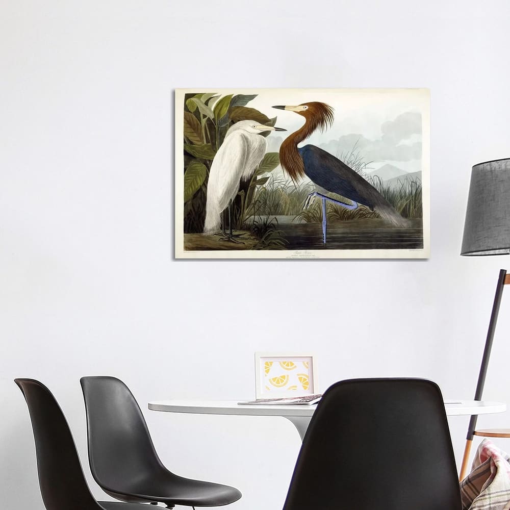 iCanvas "Purple Heron, c.1835" by John James Audubon Canvas Print