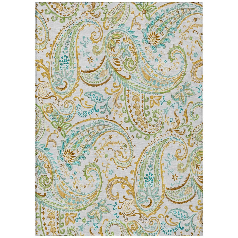Machine Washable Indoor/ Outdoor Paisley Chantille Rug
