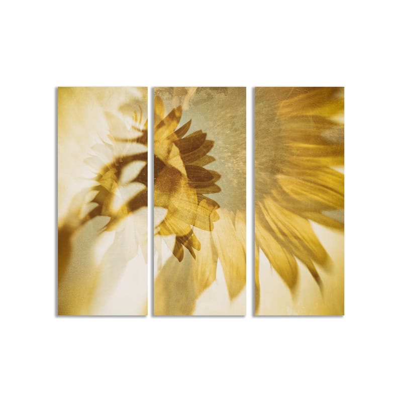 "Just like the Sun" Framed 3-Piece Wall Art Set by Sherin Abdou