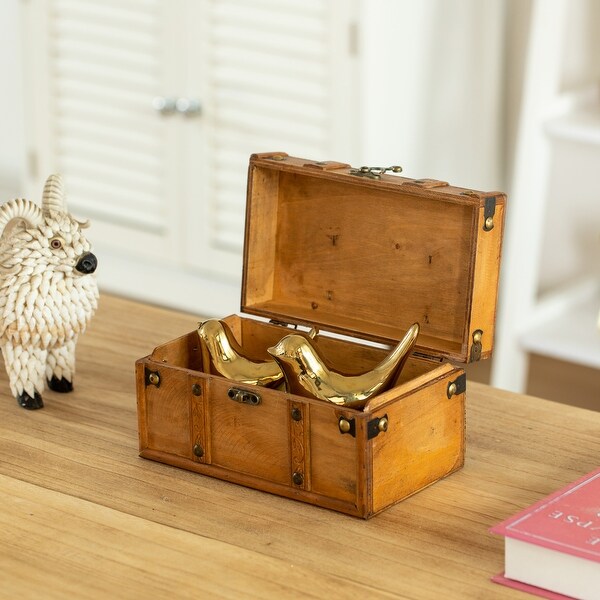 Vintiquewise Farmhouse Antique-Style Wood Treasure Chest with