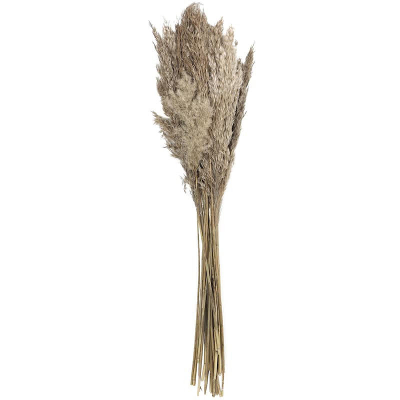 Dried Plant Pampas Grass Home Decor Natural Foliage with Long Stems - Brown or Green - Roche River Decor - Brown - 35"H