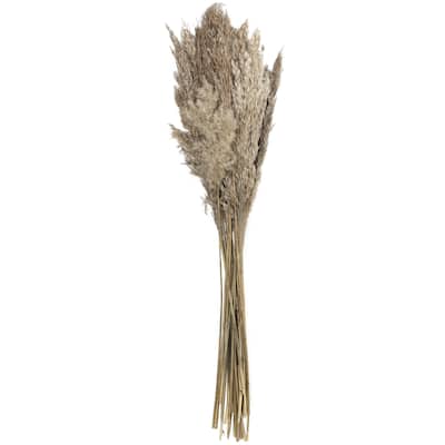 Dried Plant Pampas Grass Home Decor Natural Foliage with Long Stems - Brown or Green - Roche River Decor