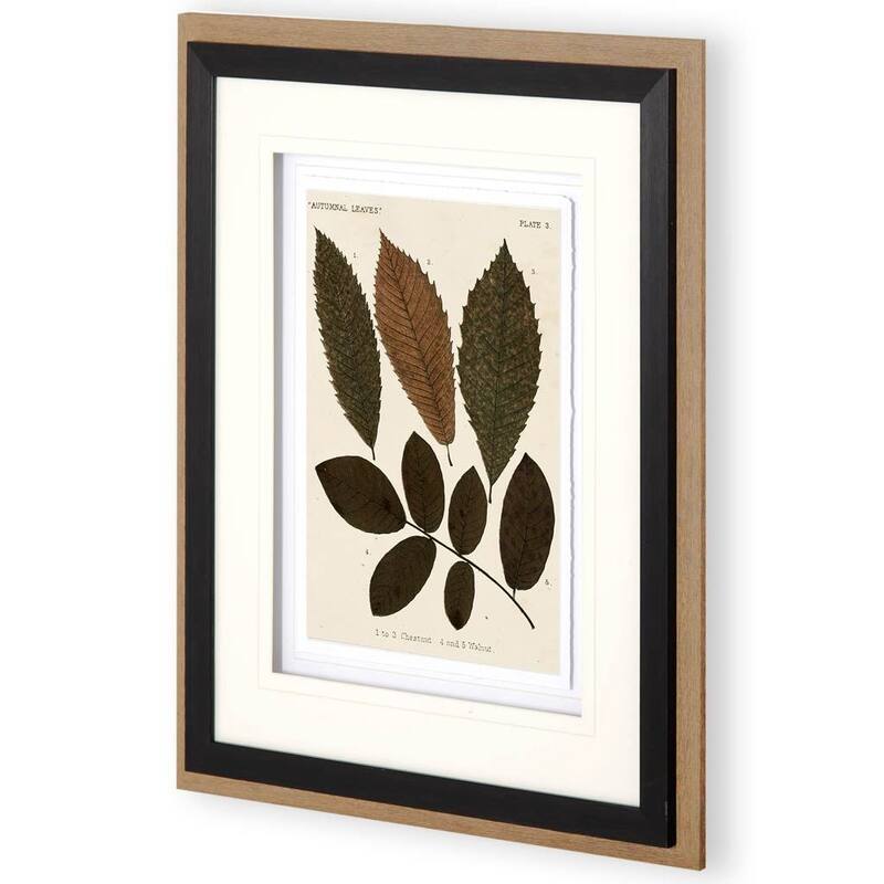Autumnal Leaves I Framed Art Print