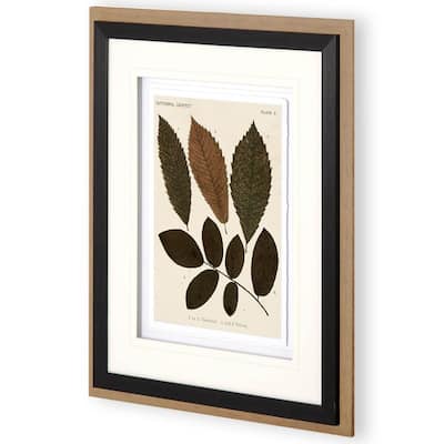 Autumnal Leaves I Framed Art Print