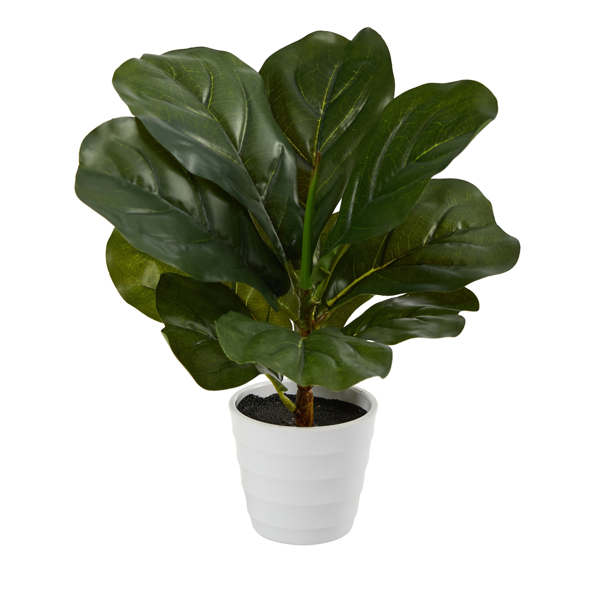 11" Fiddle Leaf Artificial Plant in White Planter (Real Touch) - 3.25"