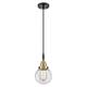 Option Clear Shade / Black Antique Brass