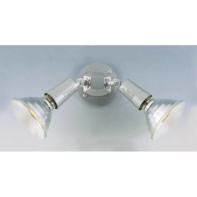 Volume Lighting 2 Light Outdoor Security Light