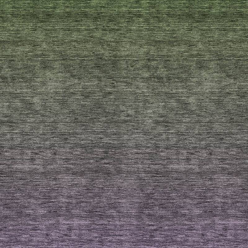 HomeRoots Ombre Transitional Rectangle Outdoor Rug