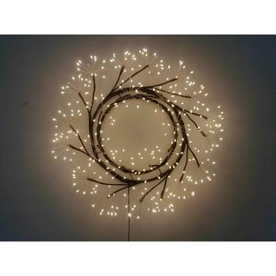 Pre-Lit LED Floral Branch Christmas Wreath - 23.5" - Warm White Lights