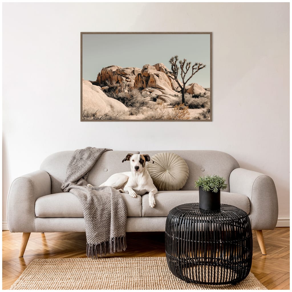 Kate and Laurel Joshua Tree No. 3 by Alicia Bock Framed Canvas Wall Art Print