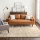 preview thumbnail 28 of 44, Karastan Billow Shag Area Rug