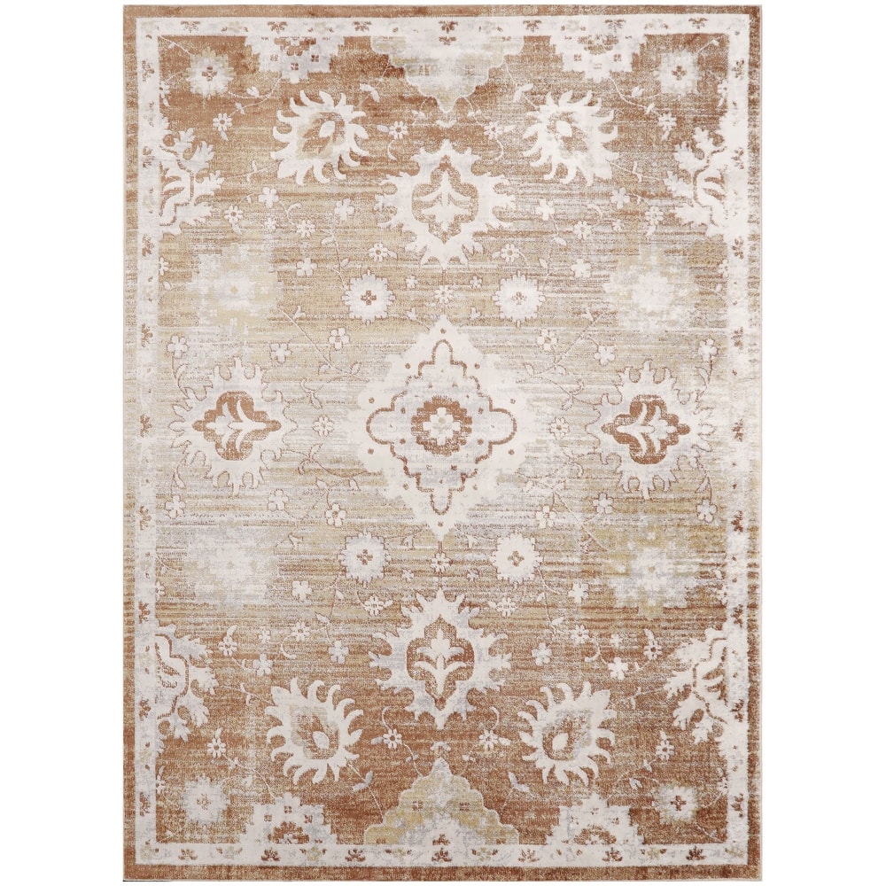 Nourison Astra Machine Washable Indoor only Persian Area Rug