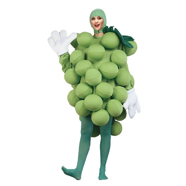 grape fancy dress costume