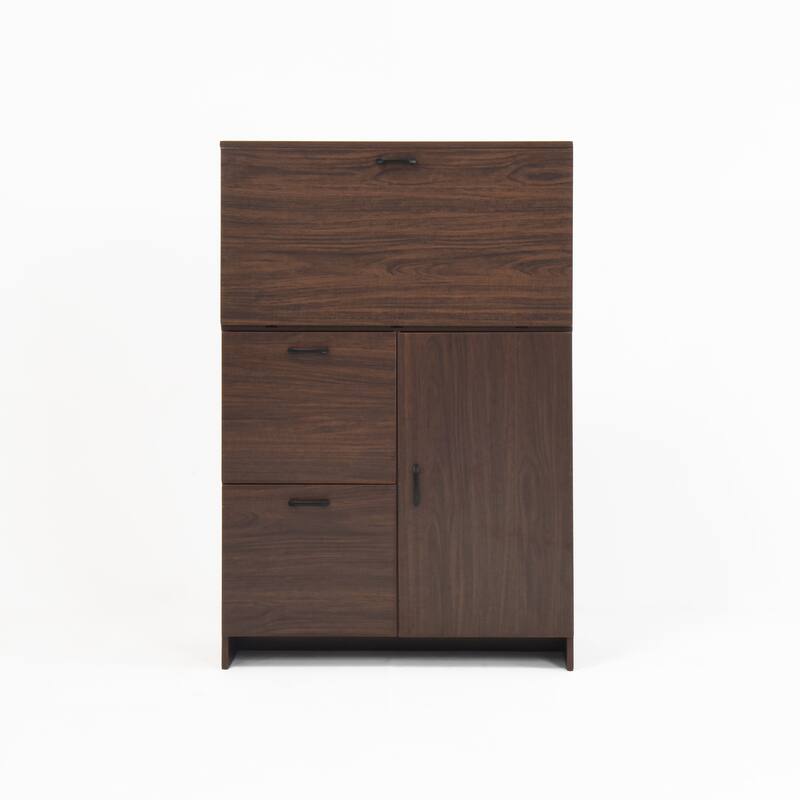 Desk Cabinet with Storage and Fold-up Desktop