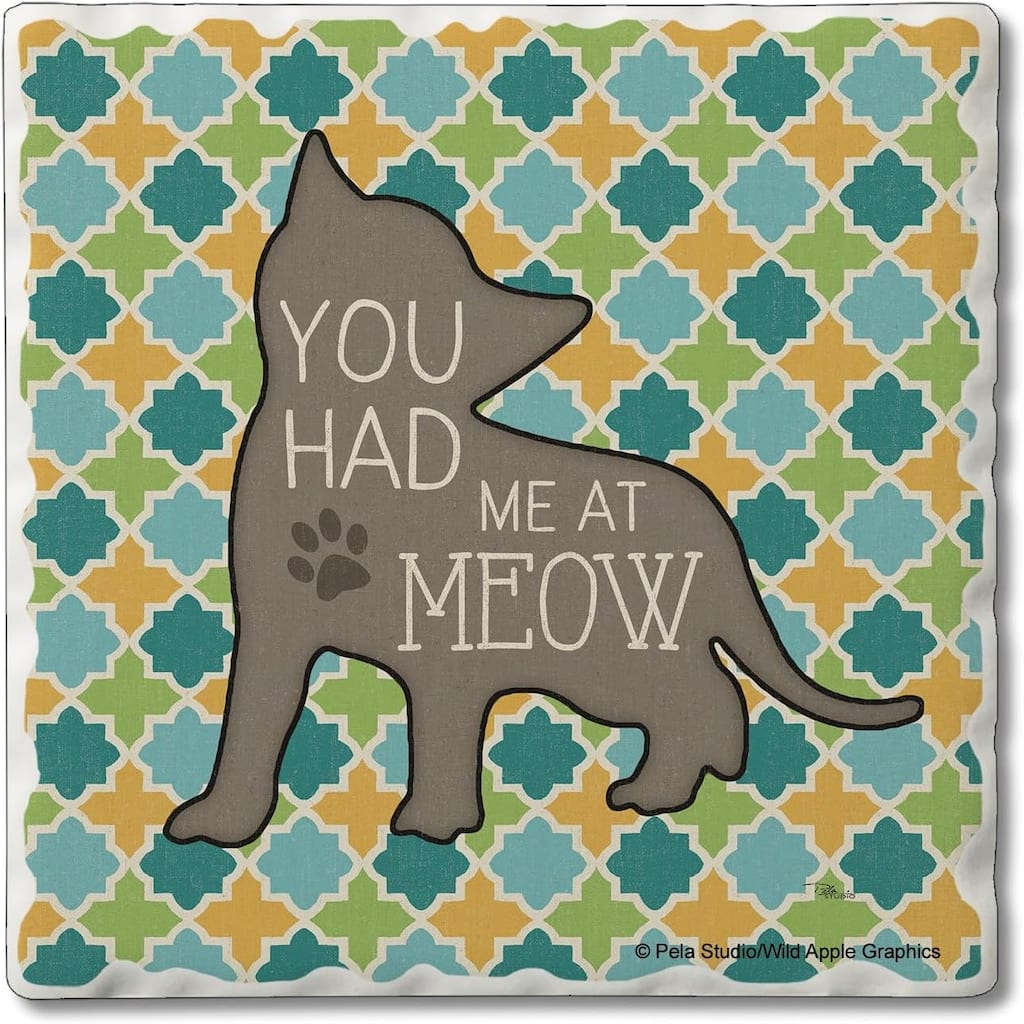 You Had Me at Meow 4 Pack Single Absorbent Stone Coaster with Protective Cork Backing Made in The USA 4" Square, Wipes Clean