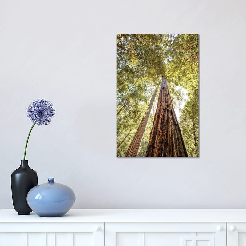 iCanvas "The Tallest Redwoods" by Joseph S. Giacalone Canvas Print - 18x12x1.5