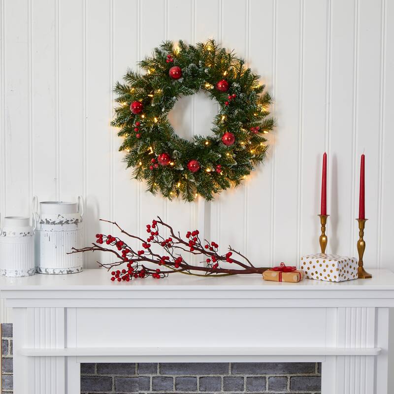 24" Frosted Christmas Wreath with 50 Warm White LED Lights