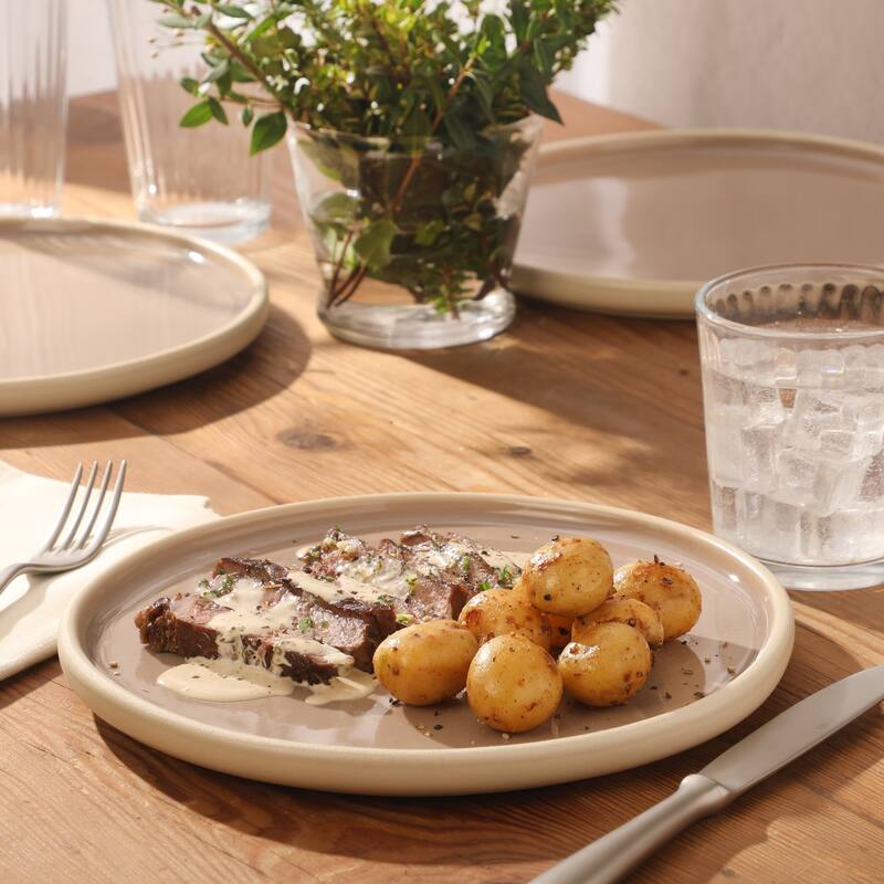 Gibson Elite - Made in Portugal - Port Gaia 10.2 Inch Dinner Plates Set of 4 - Reactive Glaze Dish Set